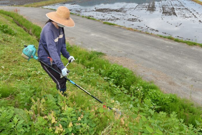 草刈りを業者に頼む場合の費用や注意点 トラブルなど カイノスレンタル Com